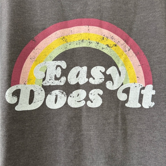 WILDFOX NWT “Easy Does It” Rainbow Graphic Charcoal Plus Pullover Sweatshirt XL - Picture 7 of 16